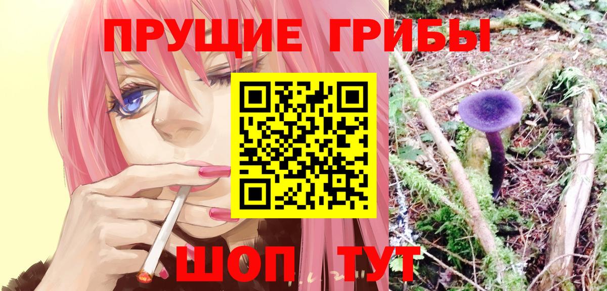 Псилоцибиновые грибы Cubensis  Галлюциногенные грибы Psilocybe  Вход с VPN  Киржач 